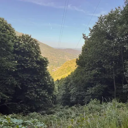 Tatil Evi Bosco