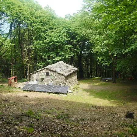 Bosco *