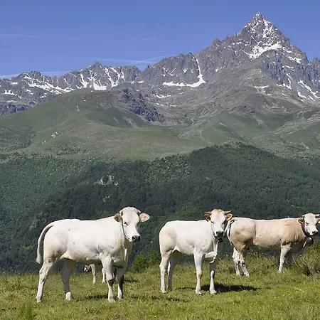 Bosco Paesana